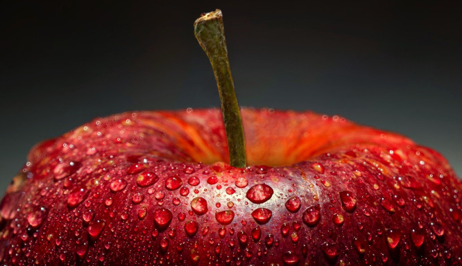 Food Systems 2020: Nachhaltige Ernährung im Fokus